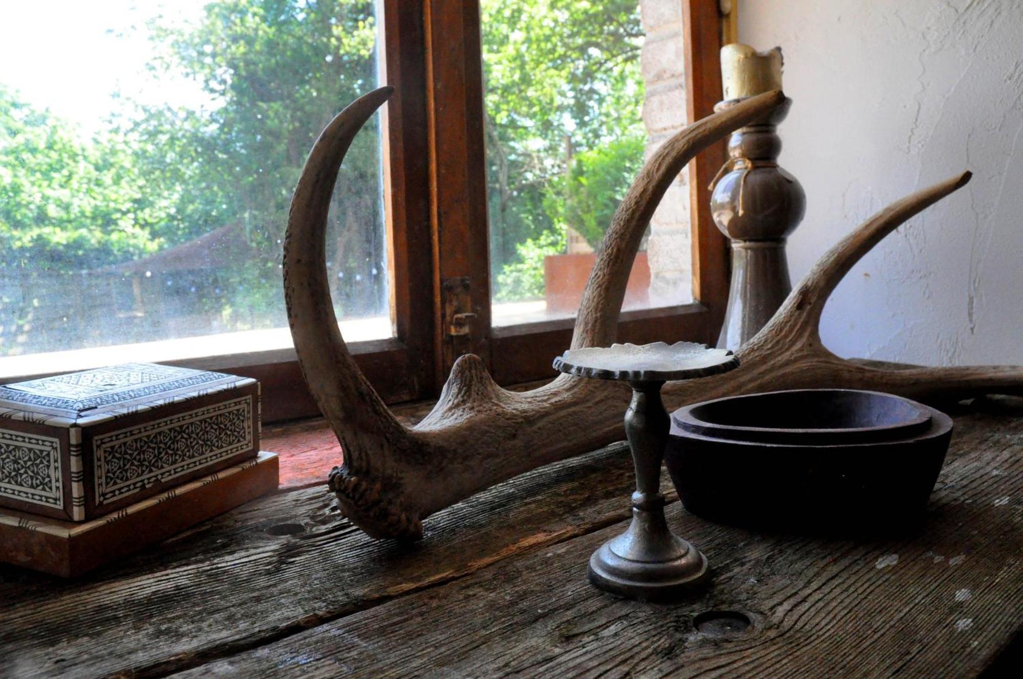 B&B Ferme1883 Lierneux Rum bild